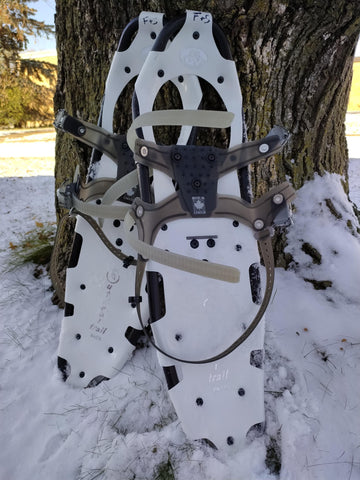 Snowshoes - M (8x28 in)